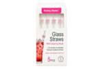 4 Pieces Glass Straw Set – 20 cm
